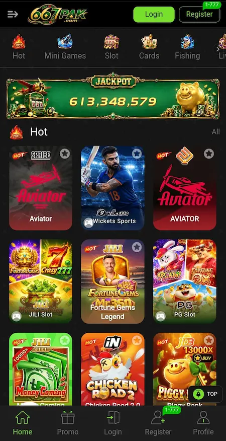 667PAK Game Interface